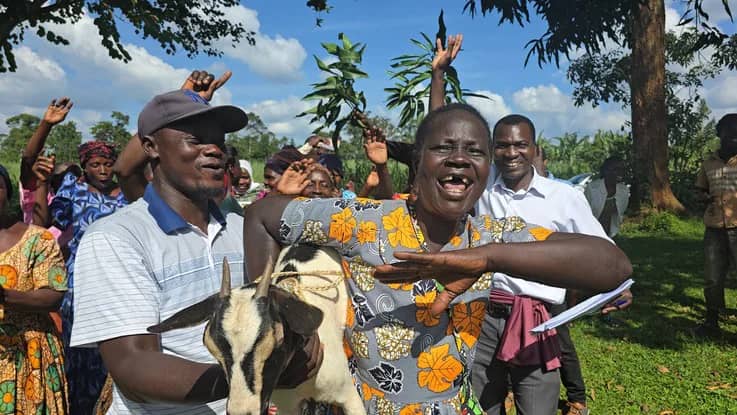 Two people hold a goat in a community gathering.