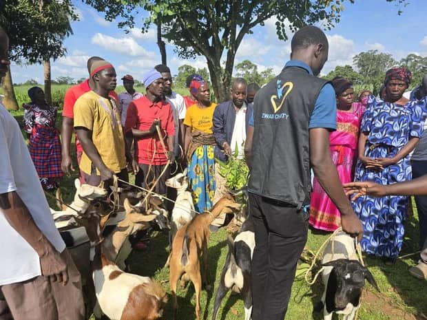 A Zwab team member stands with people and goats.
