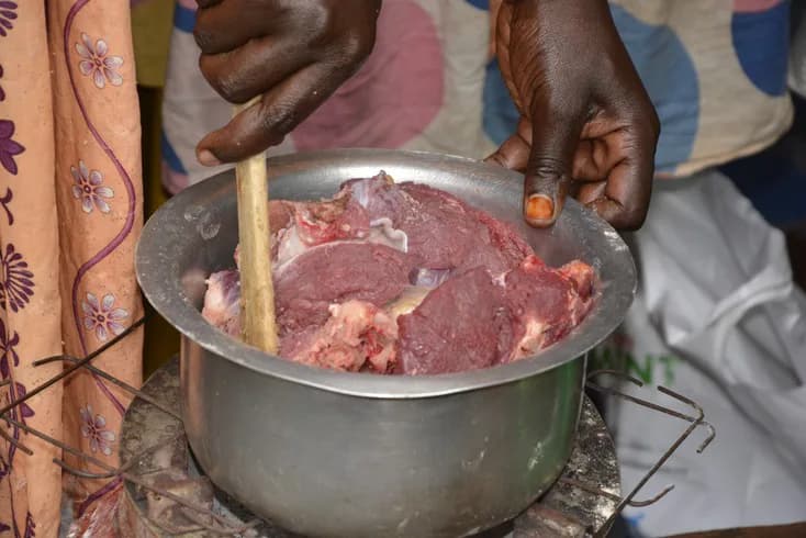 Meat is held in a household cooking pot.